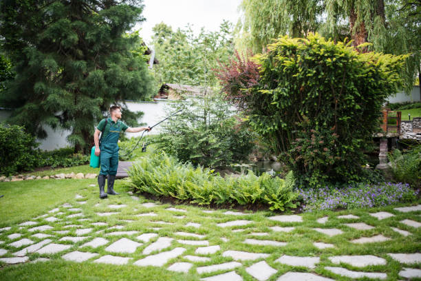 Best Affordable Pest Control Services  in Williams, AZ